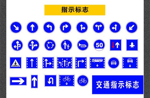 重庆蘑菇视频下载软件免费